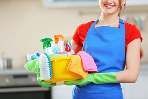 Eco-friendly carpet cleaning for a Knightsbridge residence