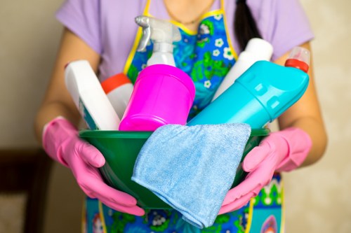 Domestic cleaners in Knightsbridge maintaining a polished living room
