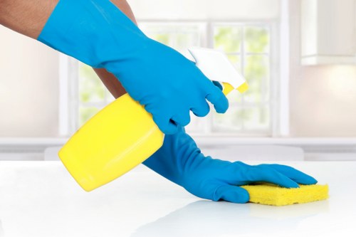 Professional oven cleaning service terms overview