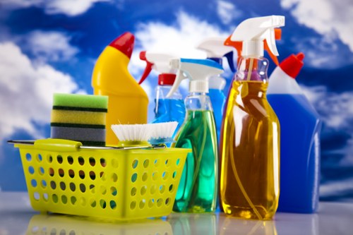 Eco-friendly house cleaning for a Knightsbridge residence