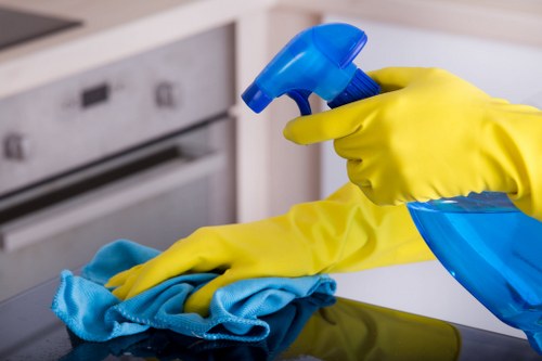 Professional cleaning of oven interior using controlled safe methods