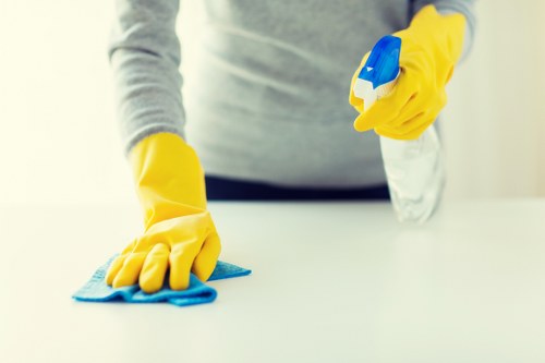 Booking and service conditions for oven cleaning