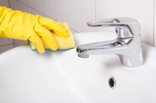 Professional oven cleaning service in Knightsbridge with a spotless appliance