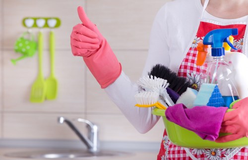Domestic cleaning in Knightsbridge for elegant residential properties