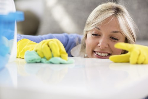 Specialist cleaner in Knightsbridge caring for luxury interiors