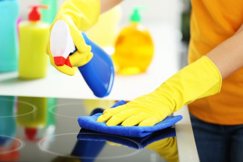 Deep cleaning company in Knightsbridge for premium interiors
