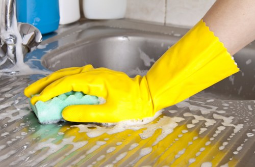 Reliable domestic cleaner maintaining a Knightsbridge property