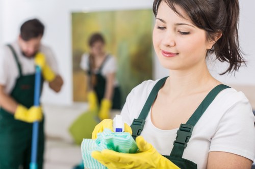 Stain removal and carpet care in a Knightsbridge property