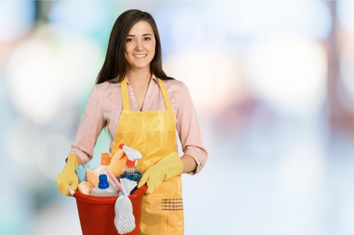 Domestic cleaning service in a modern Knightsbridge kitchen