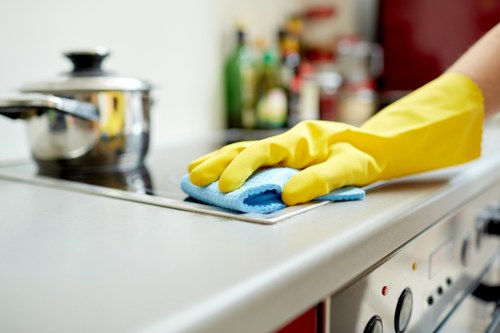 High-standard oven cleaning in Knightsbridge for premium kitchens