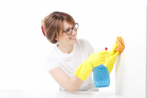 Grease removal and oven degreasing in a modern home