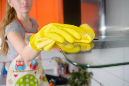 Deep cleaning support for a high-end Knightsbridge home