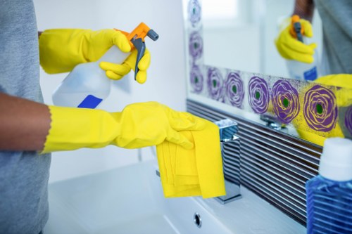 Recycling and sustainability overview for Knightsbridge oven cleaning