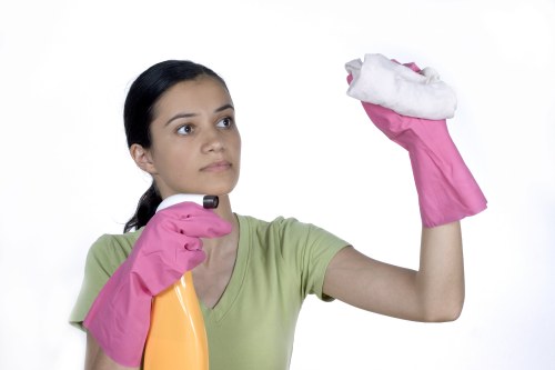 Protective gloves and safety eyewear used during oven cleaning