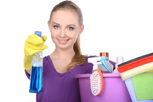 Regular domestic cleaning in a stylish Knightsbridge apartment