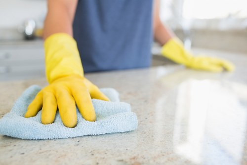 Oven cleaning inspection focused on identifying hazards and safe access