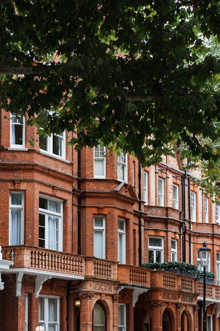 The image features a row of traditional red brick residential buildings with large white-framed sash windows and decorative stone elements, situated beneath a canopy of lush green tree leaves. The bui